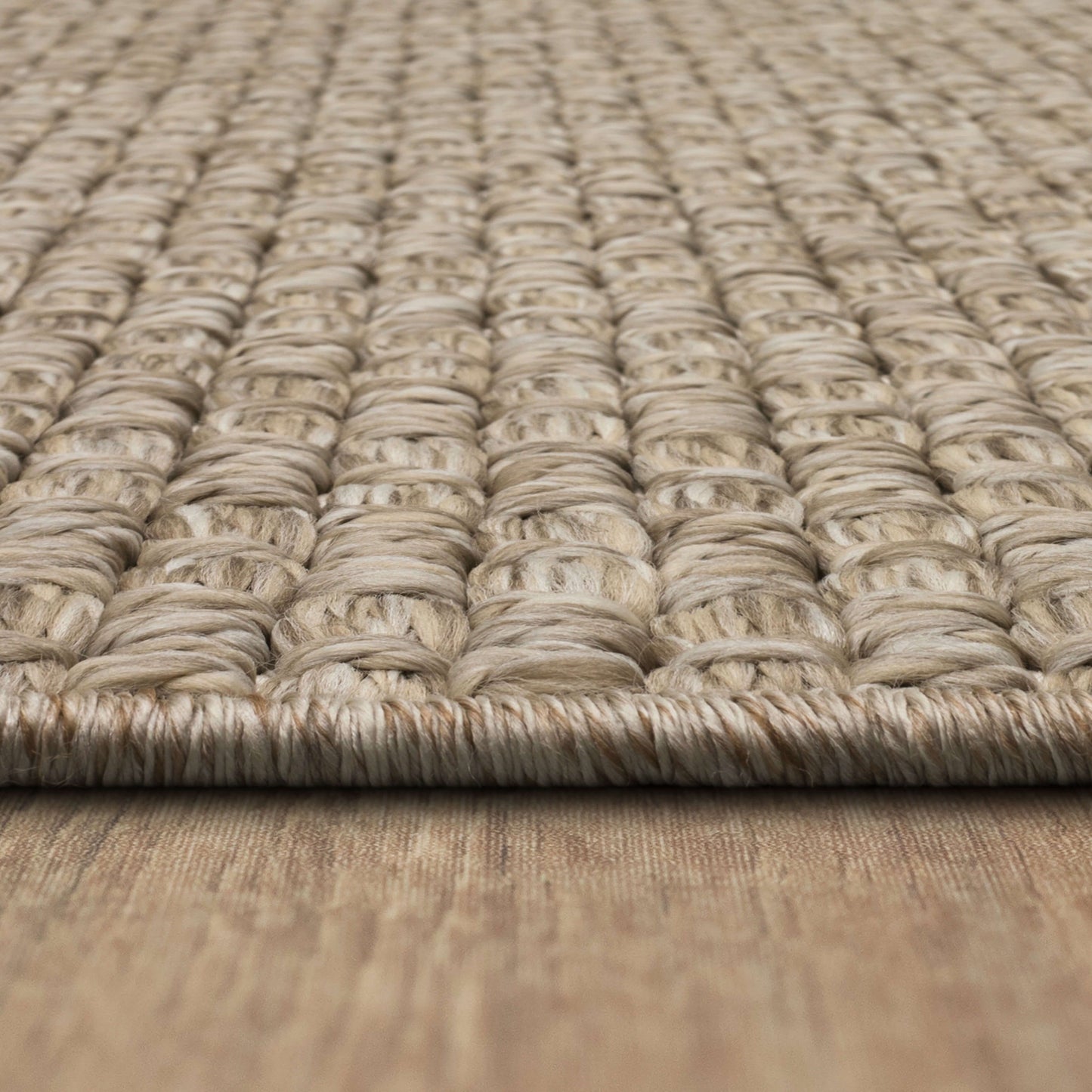 Lanai Beige Area Rug - Karastan