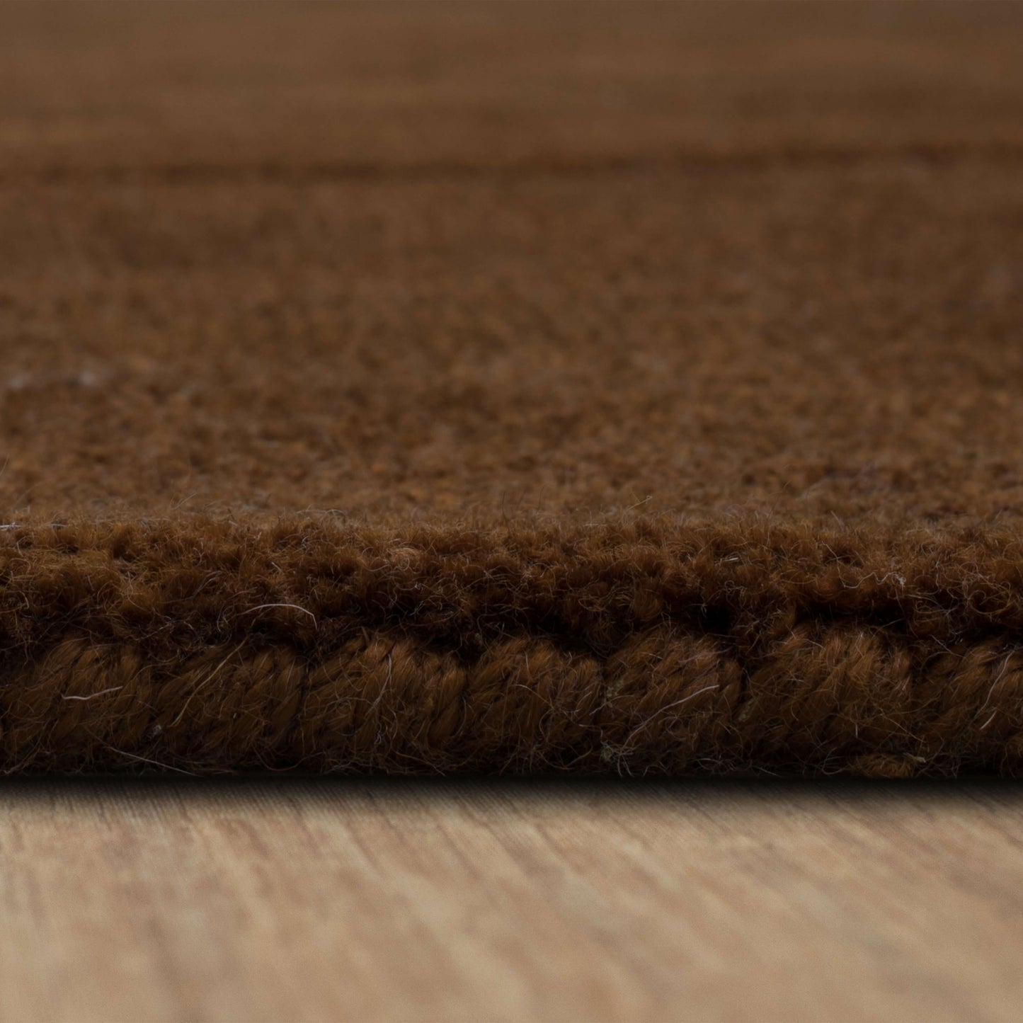 Luna Sienna Area Rug - Karastan