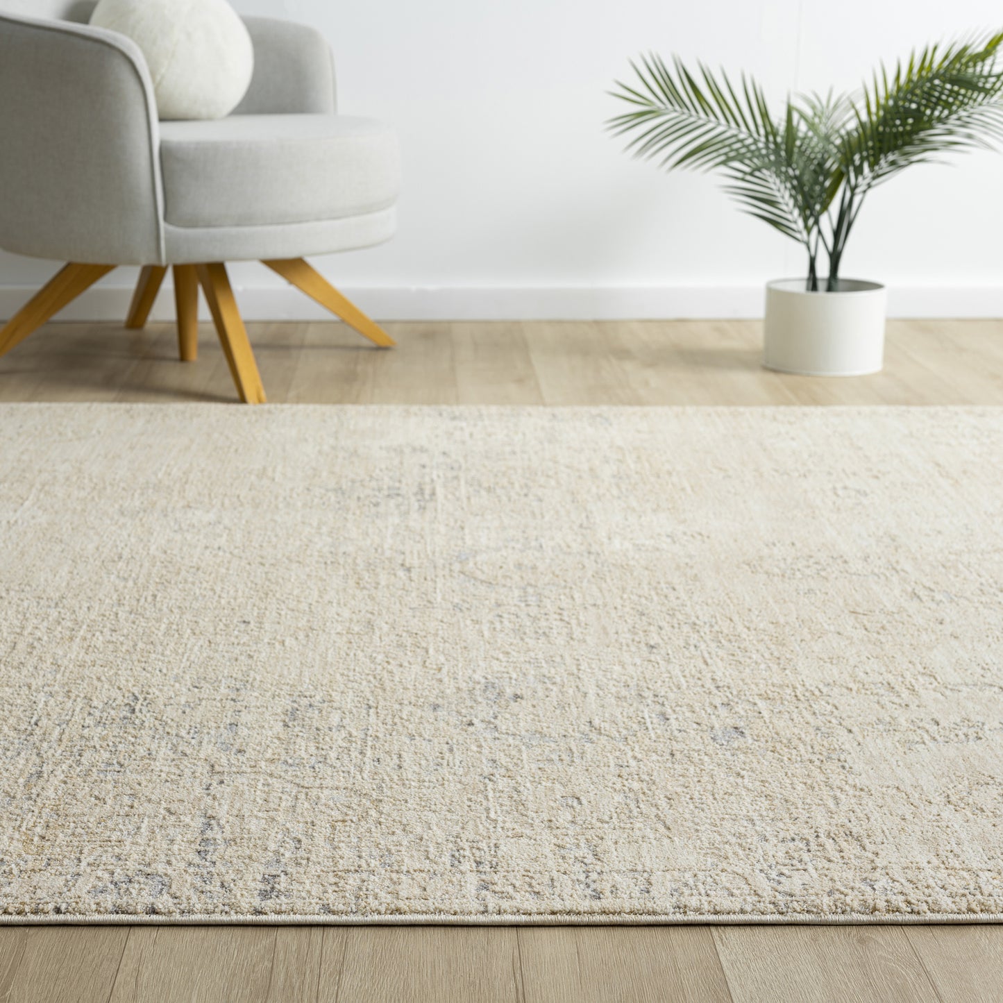 Monaco-82717 Traditional Power-Loomed Beige/Gray Cotton Indoor Area Rug - LR Home