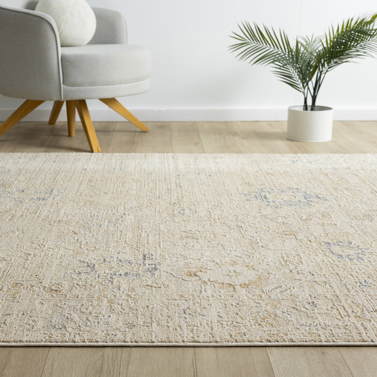 Monaco-82719 Traditional Power-Loomed Beige/Ivory Cotton Indoor Area Rug - LR Home