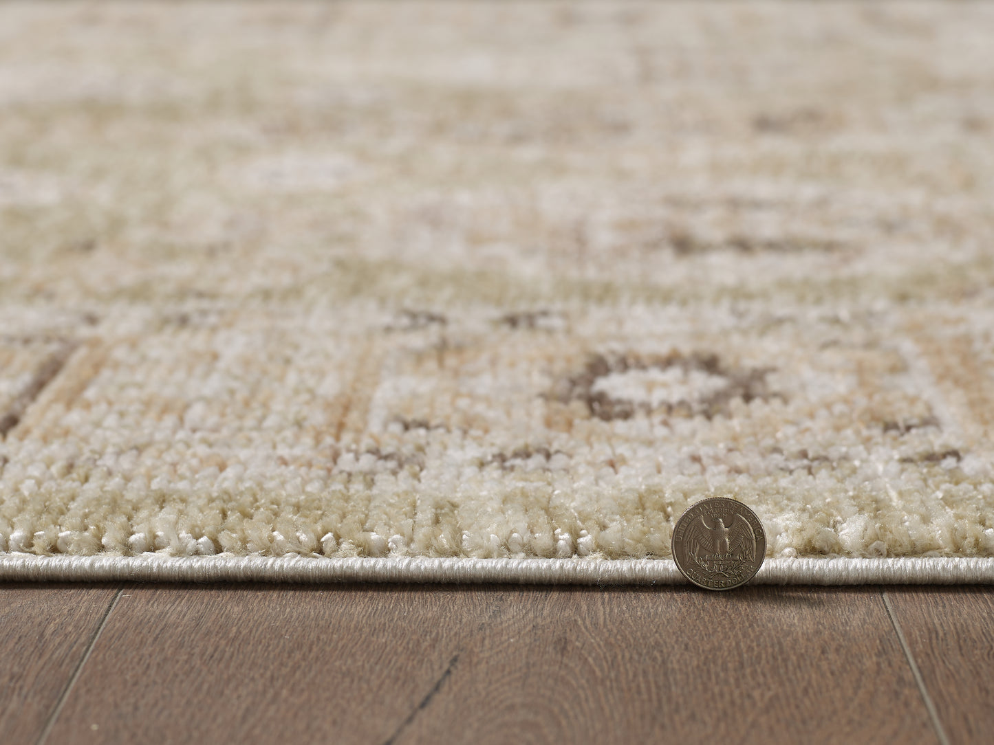 Mira 4610 Sage Portia Machine WovenPerformance Area Rug - KAS