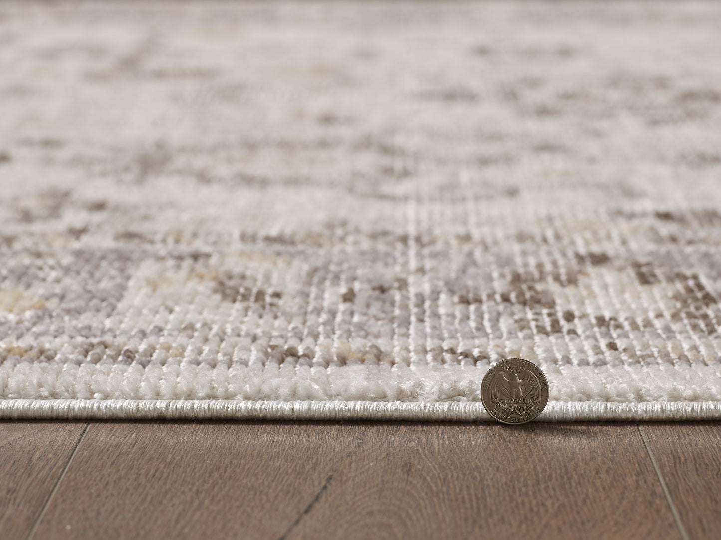 Mira 4613 Ivory/Grey Luna Machine WovenPerformance Area Rug - KAS