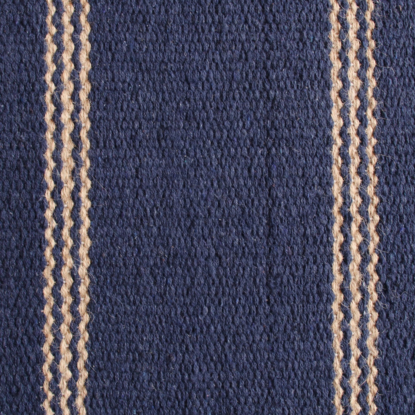 Hampton-03396 Coastal Hand-Woven Navy Blue/Tan Cotton Indoor Area Rug - LR Home