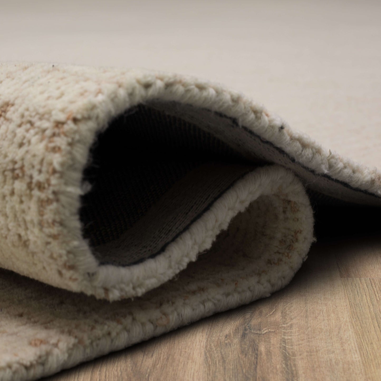 Oglethorpe Ivory Sand Area Rug - Karastan