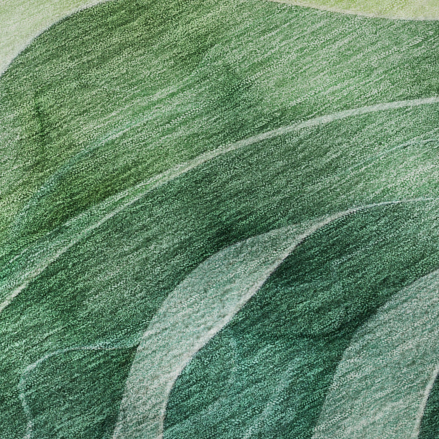 Machine Made Pacifica PA4 Teal - Dalyn Rugs