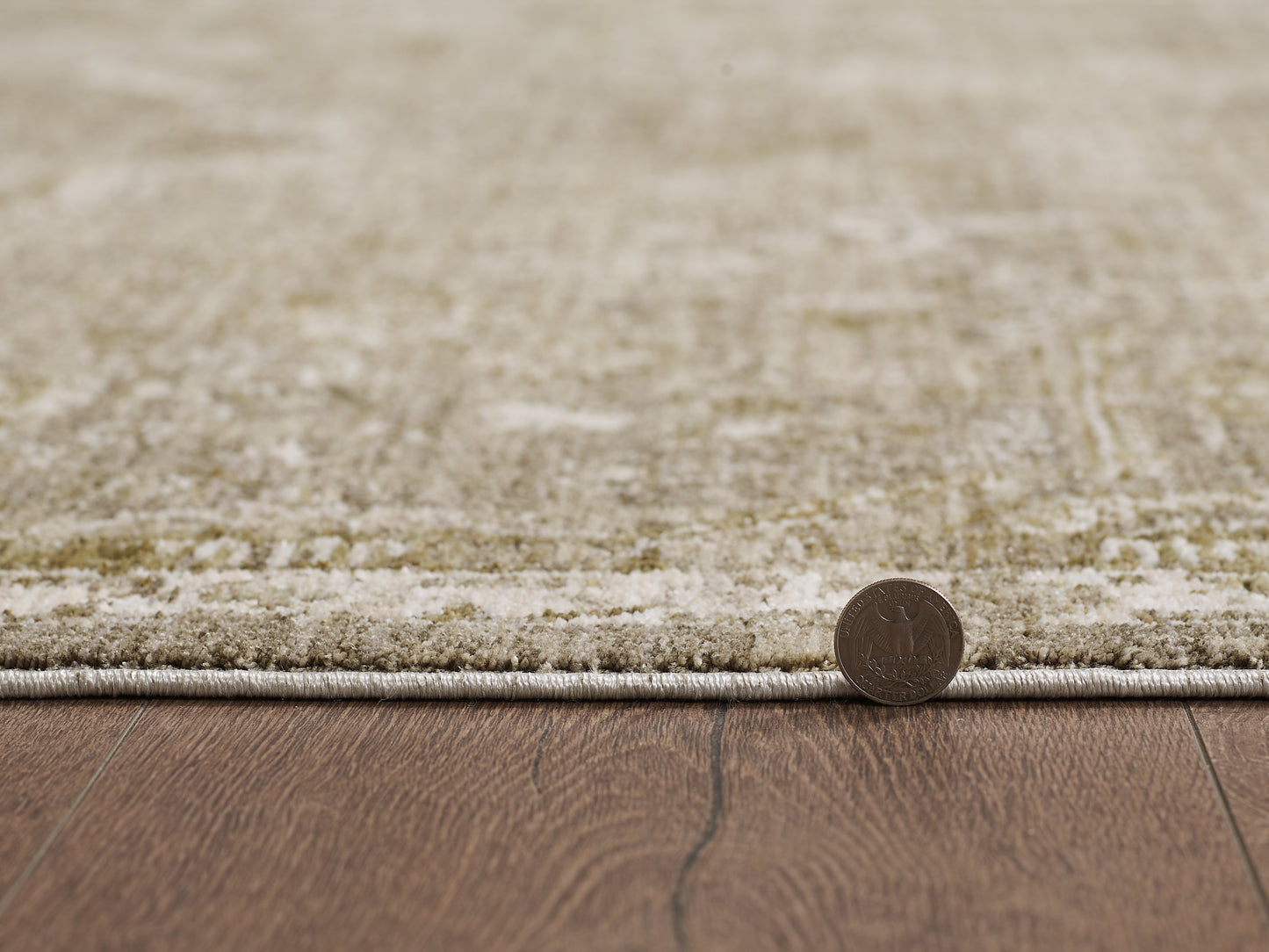 Portia 4901 Moss Winslow Machine WovenPerformance Area Rug - KAS