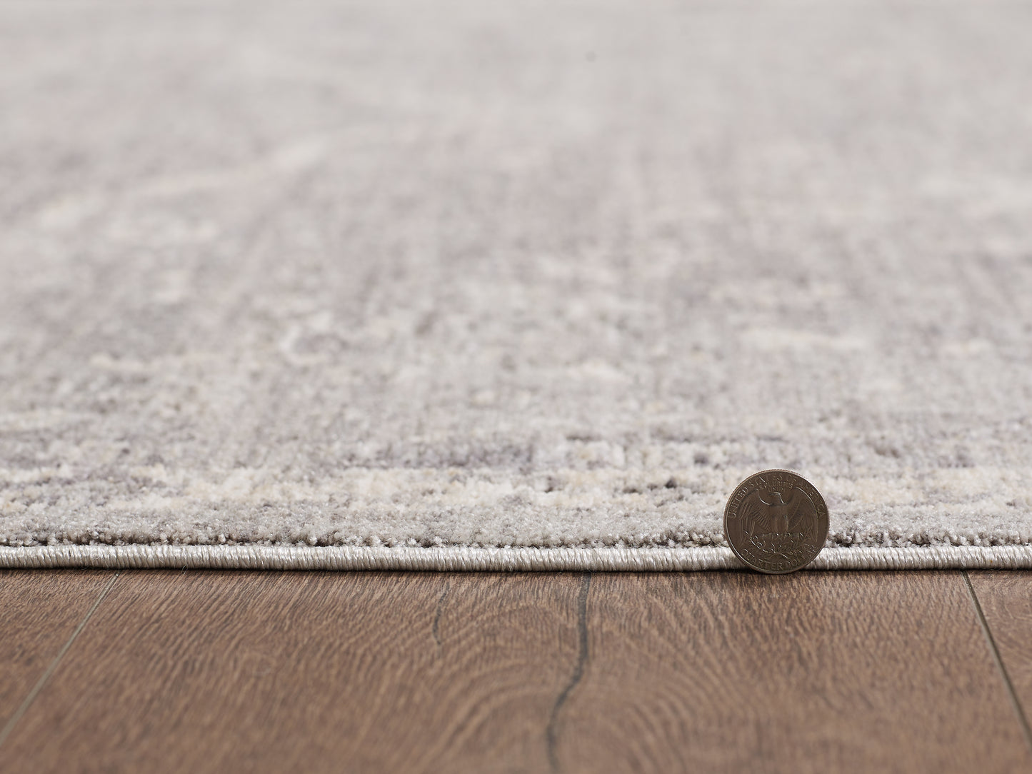 Portia 4904 Silver Winslow Machine WovenPerformance Area Rug - KAS