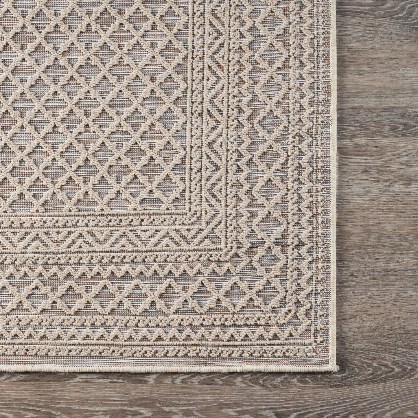 RETRE-81599 Modern/Contemporary Machine Made Natural Polypropylene Indoor/Outdoor Area Rugs - LR Home