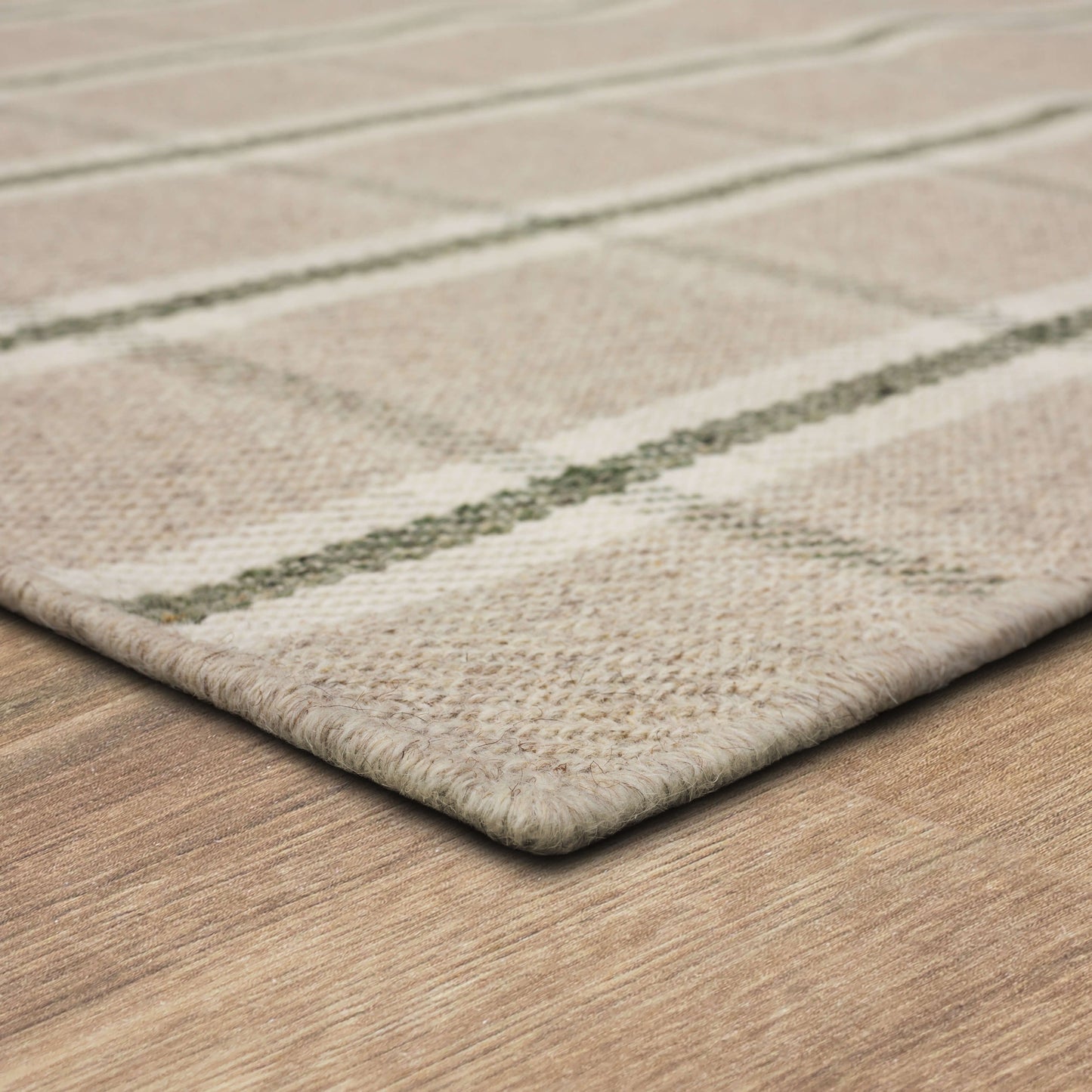 Scofield Sage Area Rug - Karastan