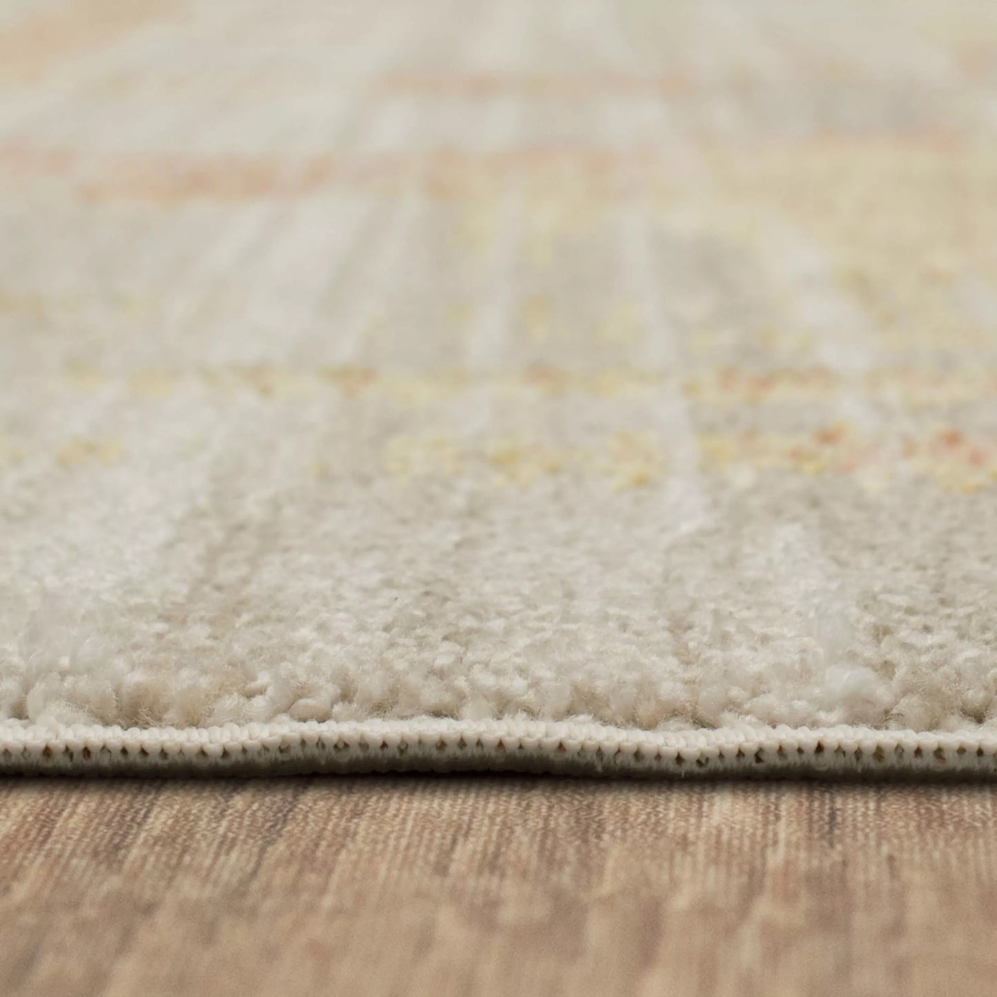 Souvenir Beige Area Rug - Karastan