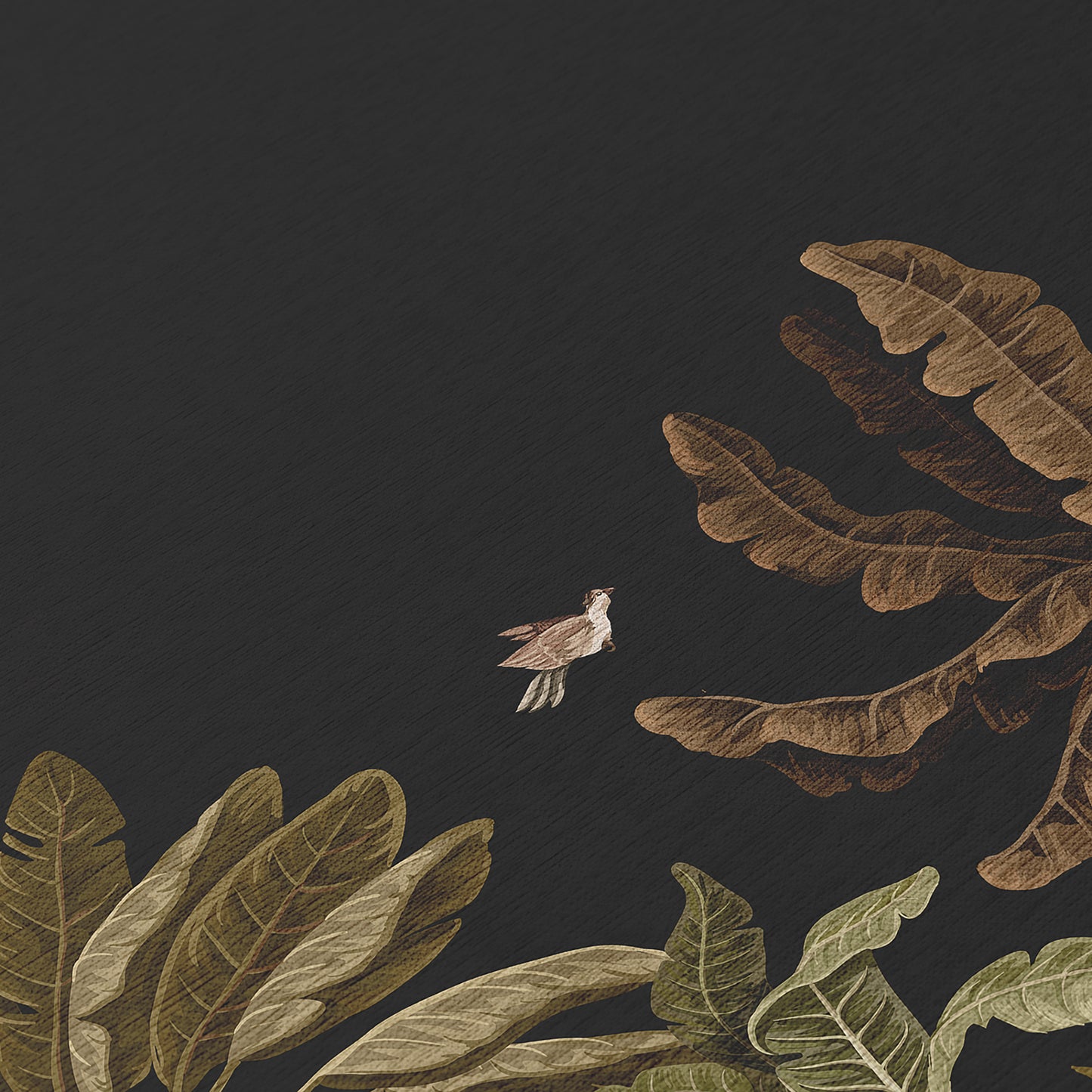 Machine Made Tropics TC8 Black - Dalyn Rugs