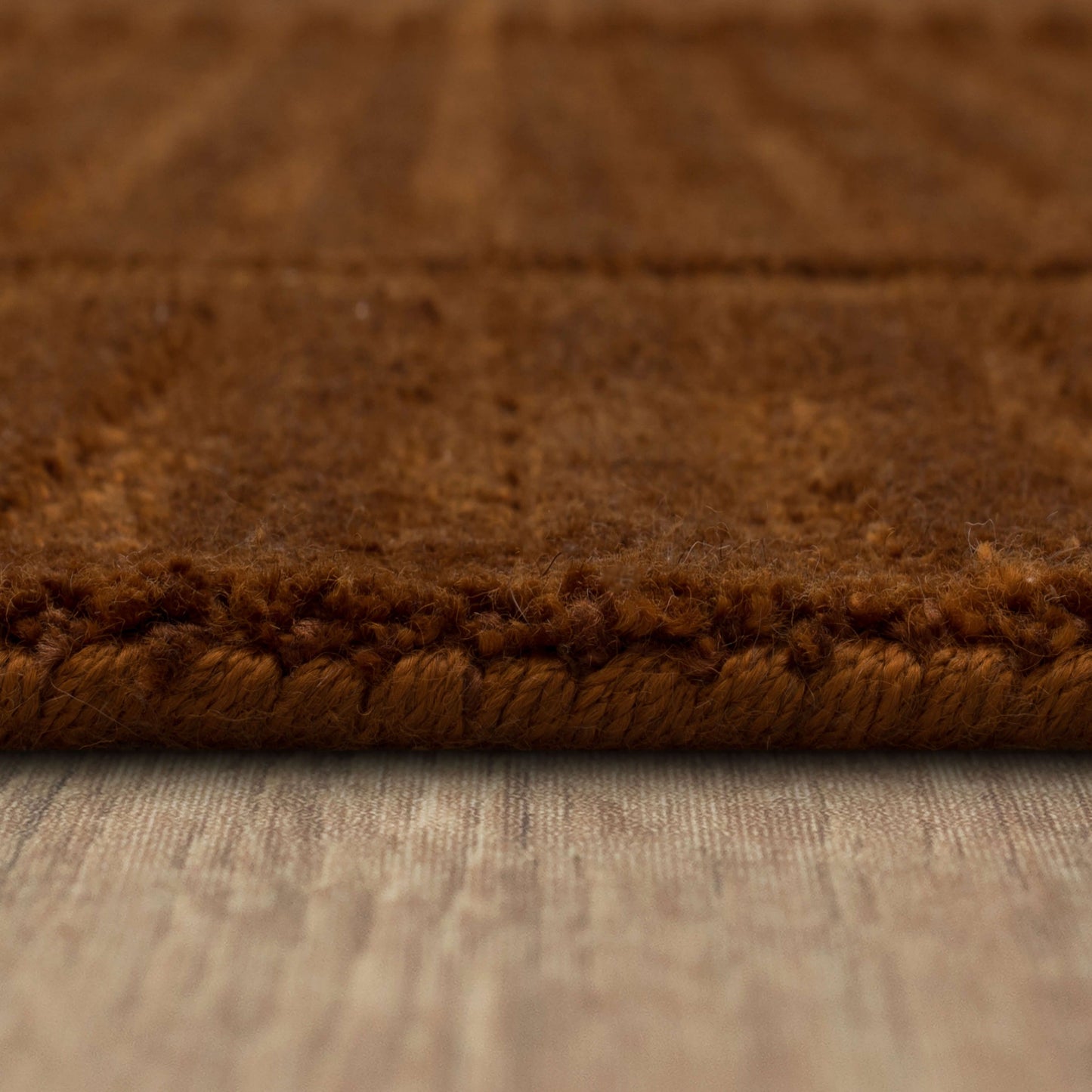 Terra Firma Sienna Area Rug - Karastan