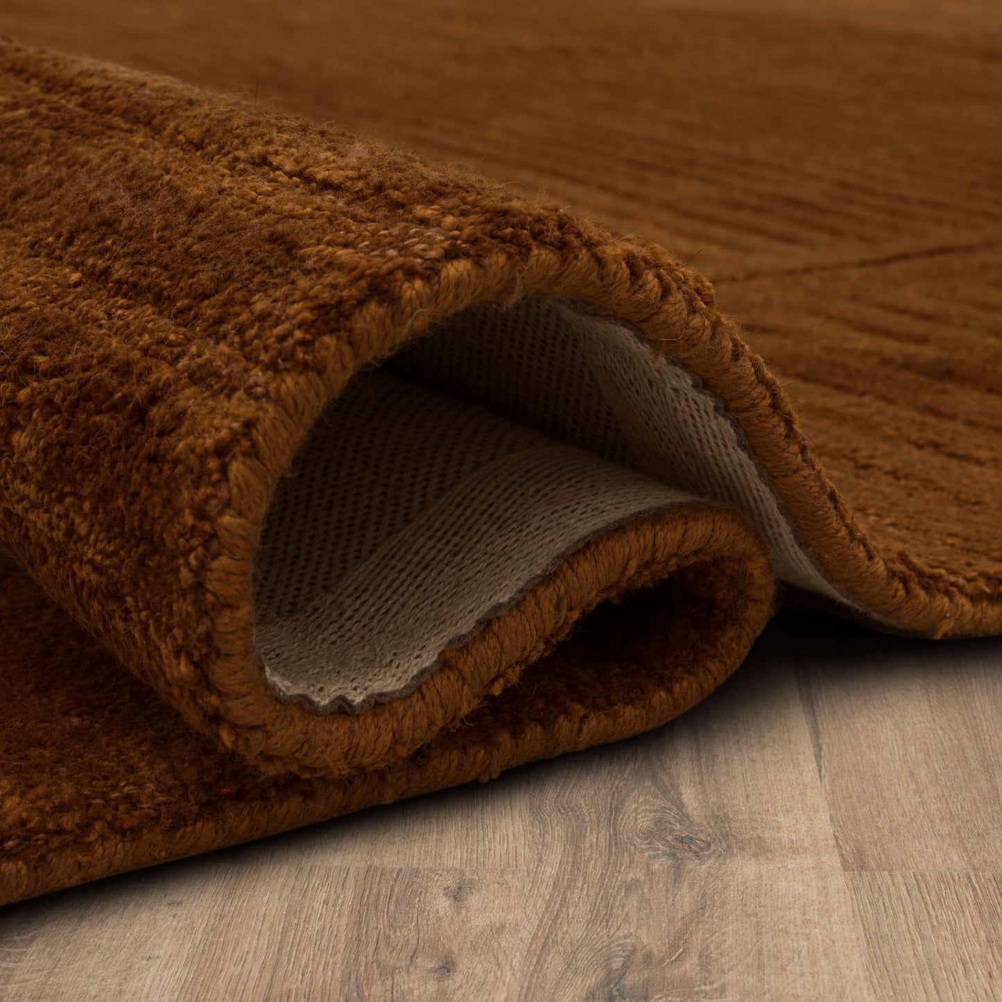 Terra Firma Sienna Area Rug - Karastan