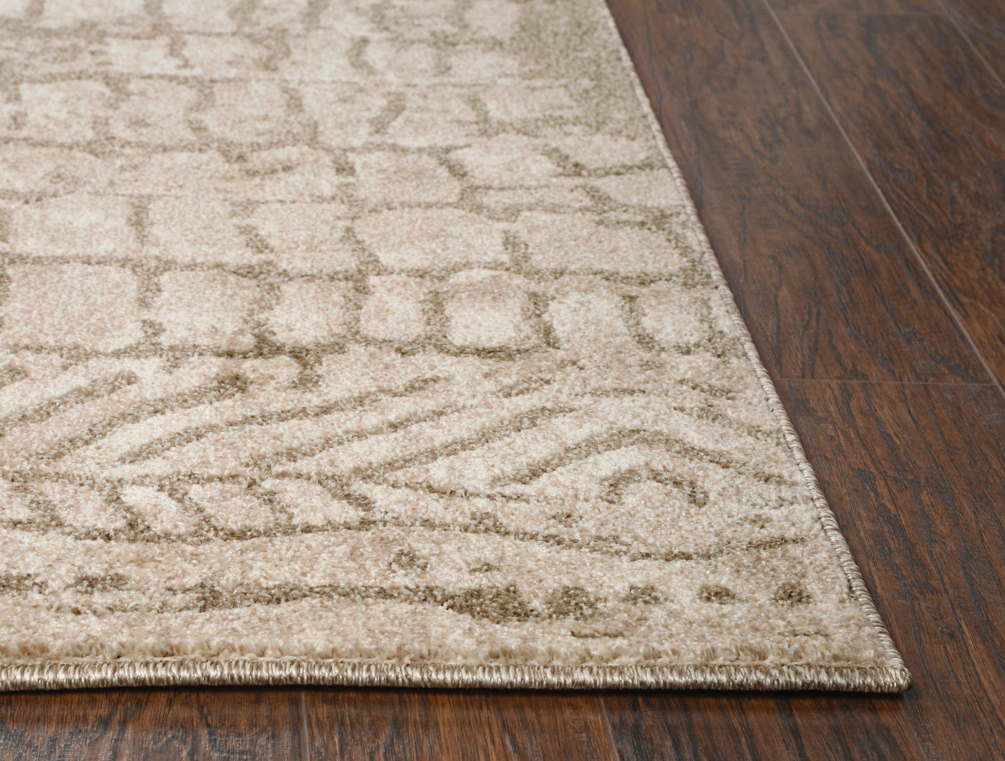 Valencia VCA102 Beige Machine-Made Rug - Rizzy