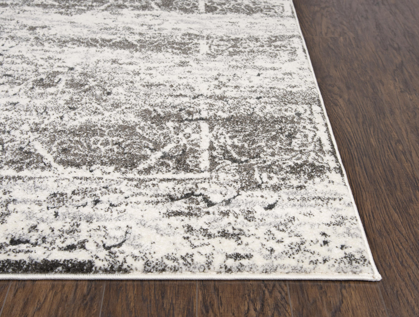 Valencia VCA103 Ivory/Silver Machine-Made Rug - Rizzy