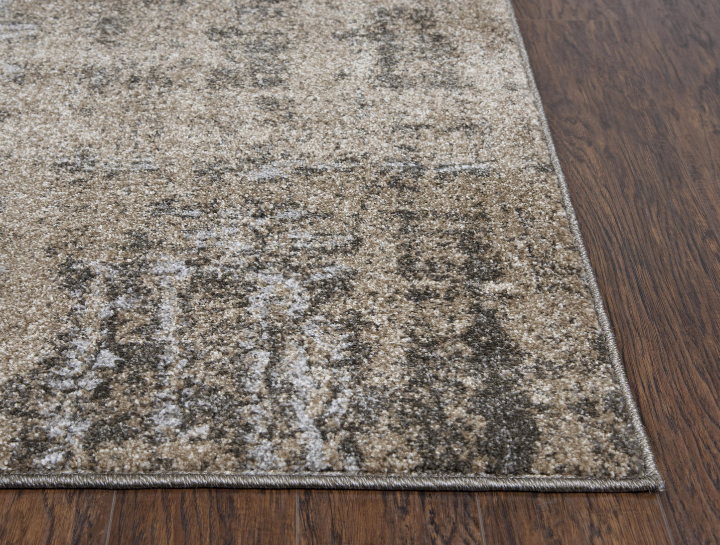 Valencia VCA107 Beige/Silver Machine-Made Rug - Rizzy