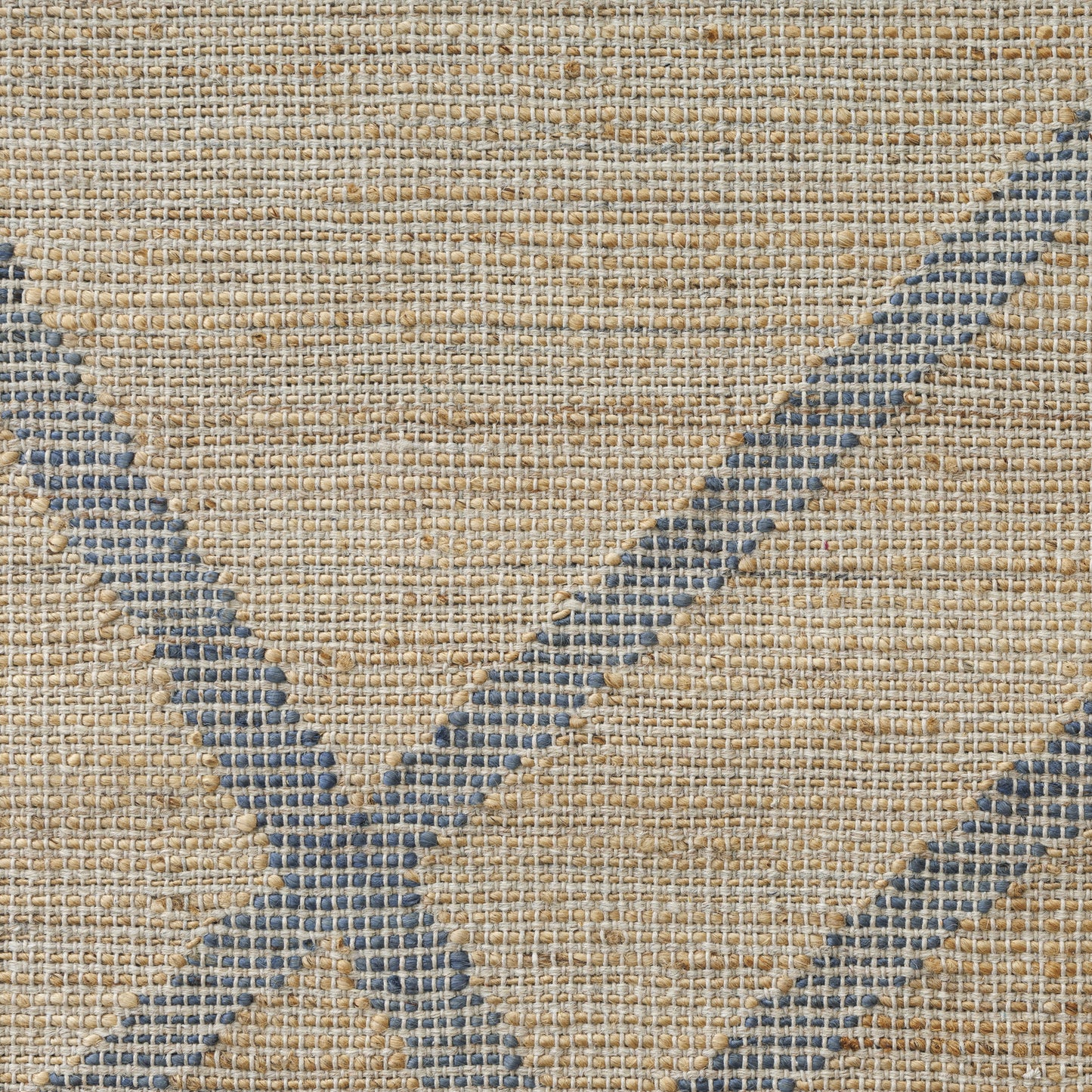 Willow-82575 Transitional Hand-Woven Blue Cotton Indoor Area Rug - LR Home