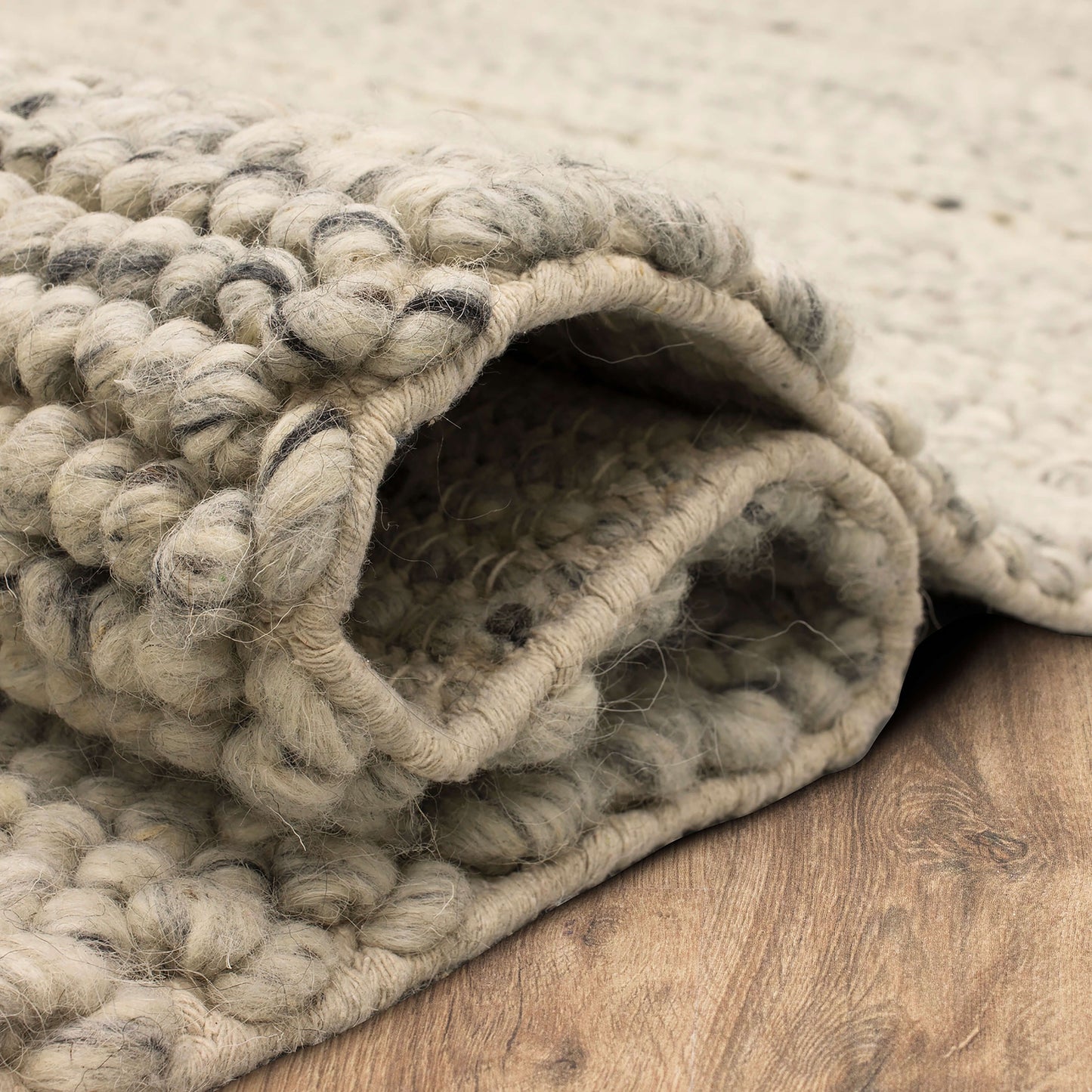 Zaza Ivory Area Rug - Karastan