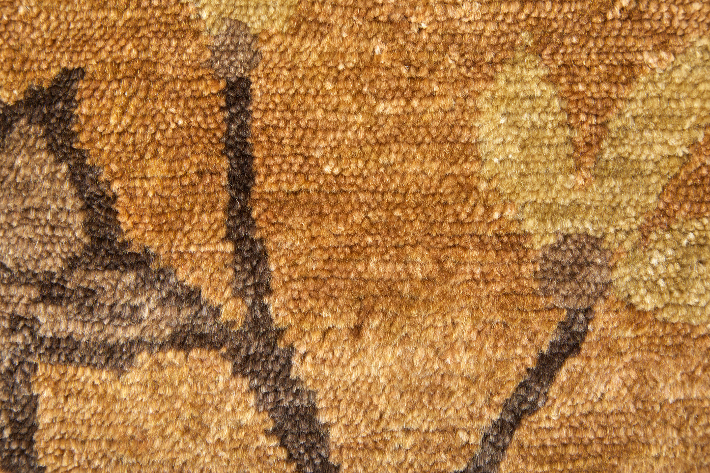 Cordonnet Transitional/Casual Floral & Botanical Brown/Orange - Feizy Rug