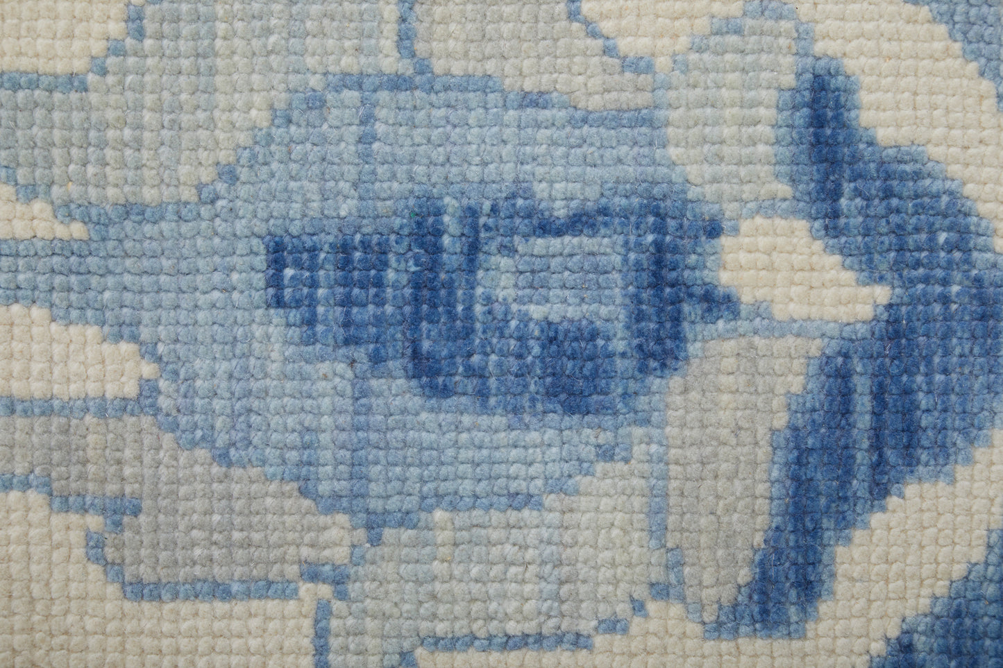 Karina Transitional/Craftsman/Casual Floral & Botanical/Scroll/Bordered Ivory/Blue - Feizy Rug