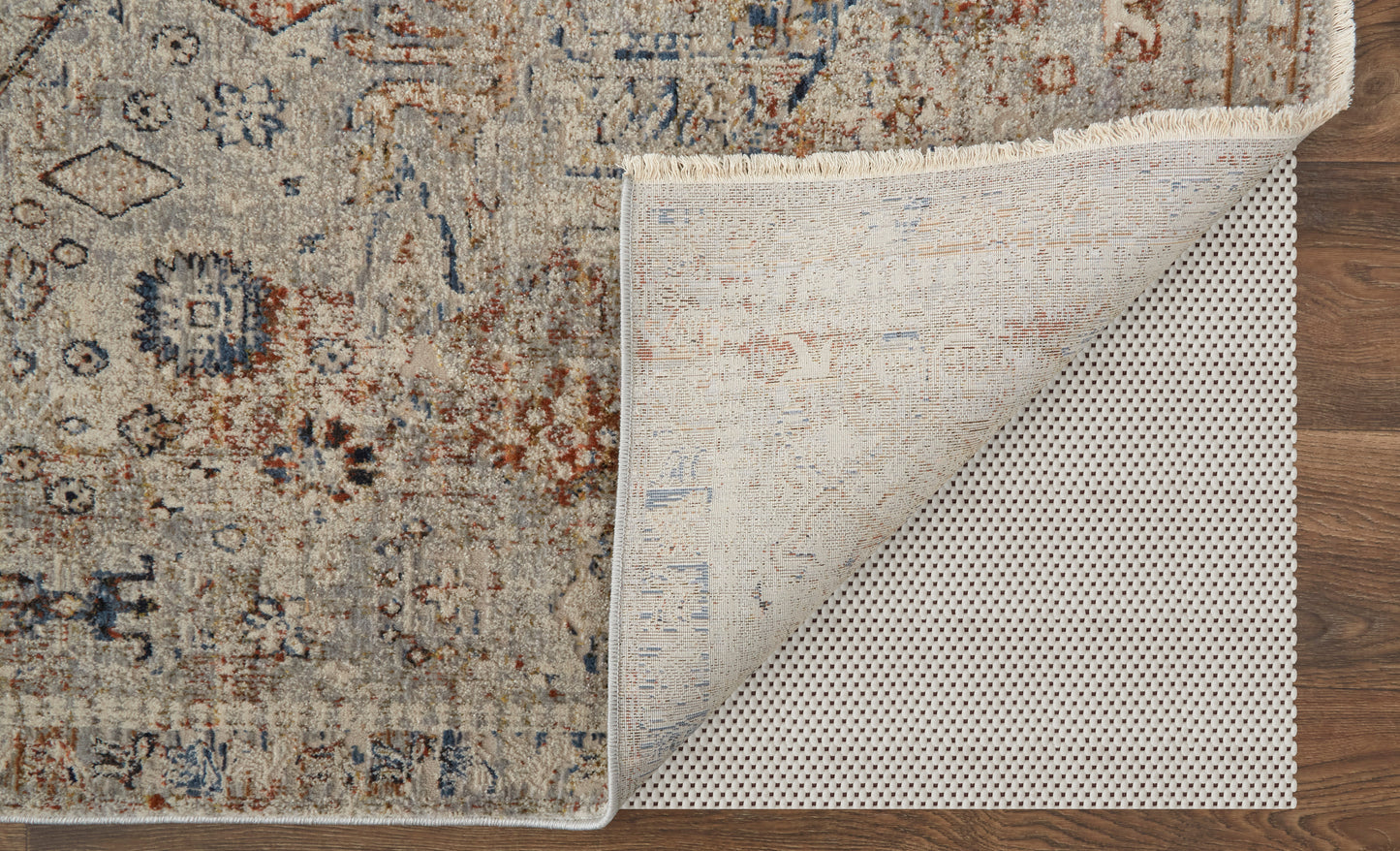 Kaia Transitional/Vintage/Classic Tan/Orange/Red Accent Rug