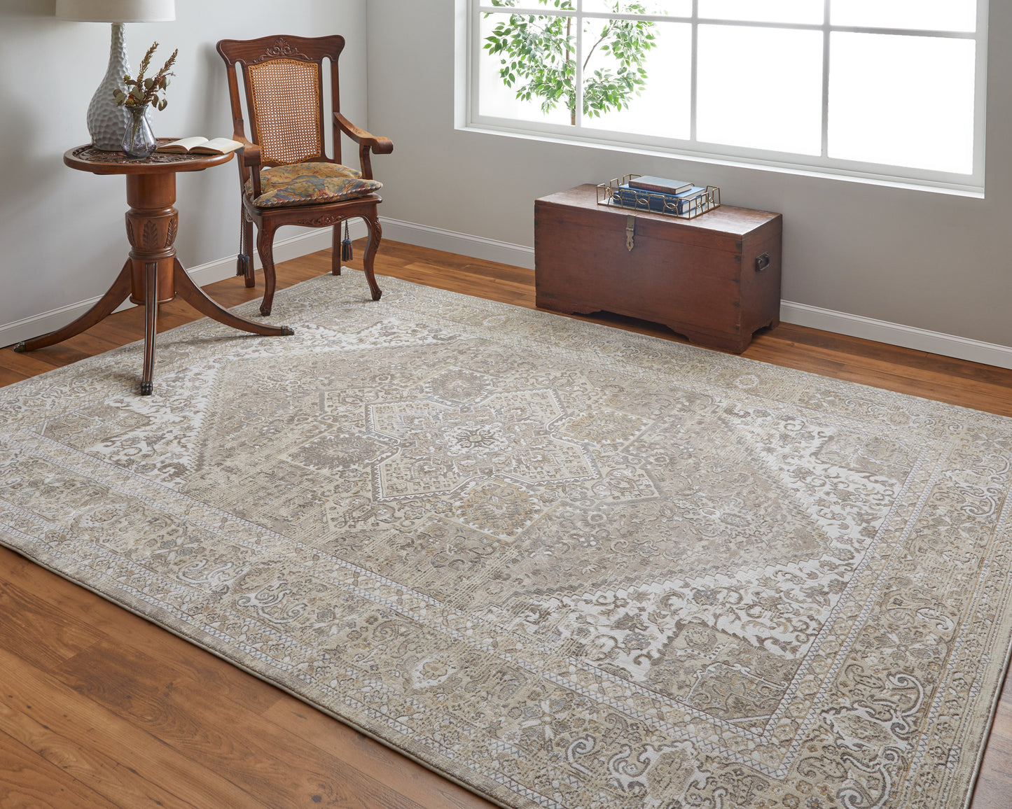 Celene Traditional/Vintage/Casual Brown/Ivory/Tan Area Rug