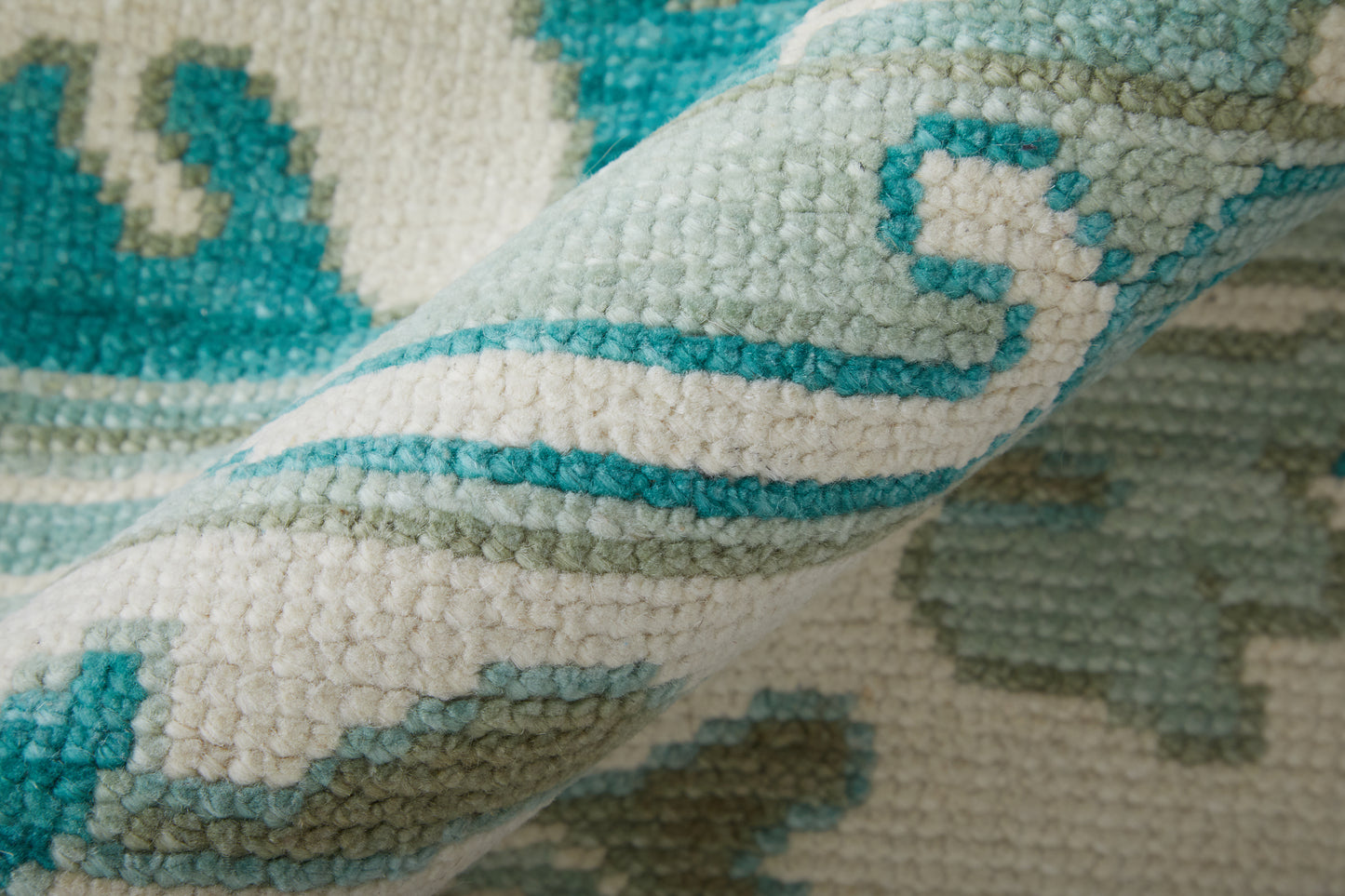 Karina Transitional/Craftsman/Casual Floral & Botanical/Scroll/Bordered Green/Ivory - Feizy Rug