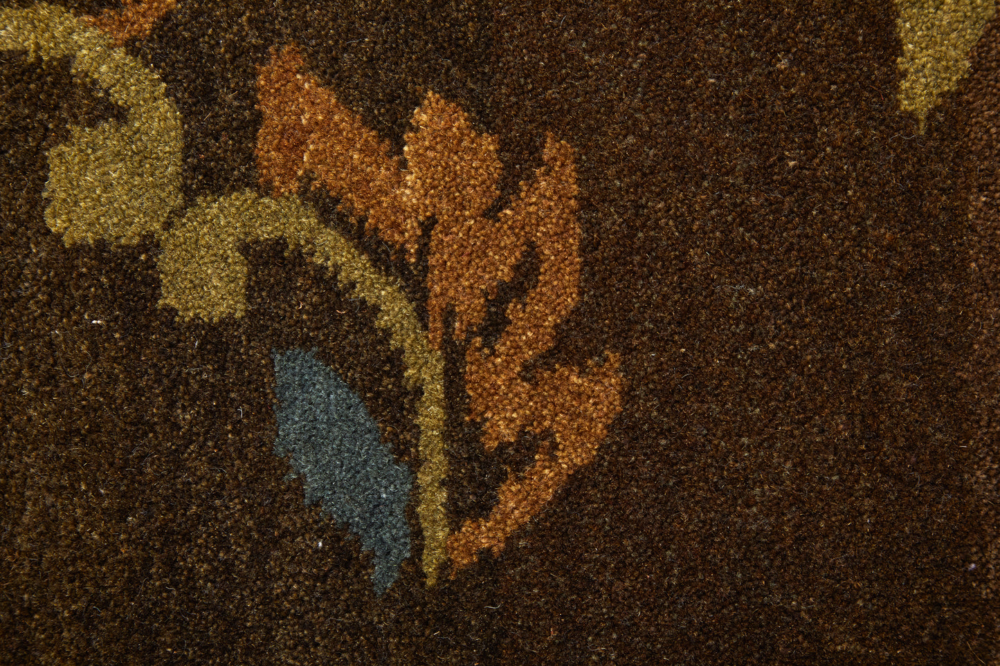 Amzad Transitional/Classic/Cottage Floral & Botanical/Paisley Brown/Tan/Green - Feizy Rug