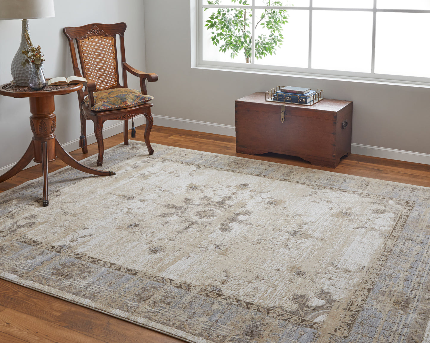 Celene Traditional/French & Victorian/Vintage Bordered/Medallion/Distressed Tan/Brown/Gray - Feizy Rug