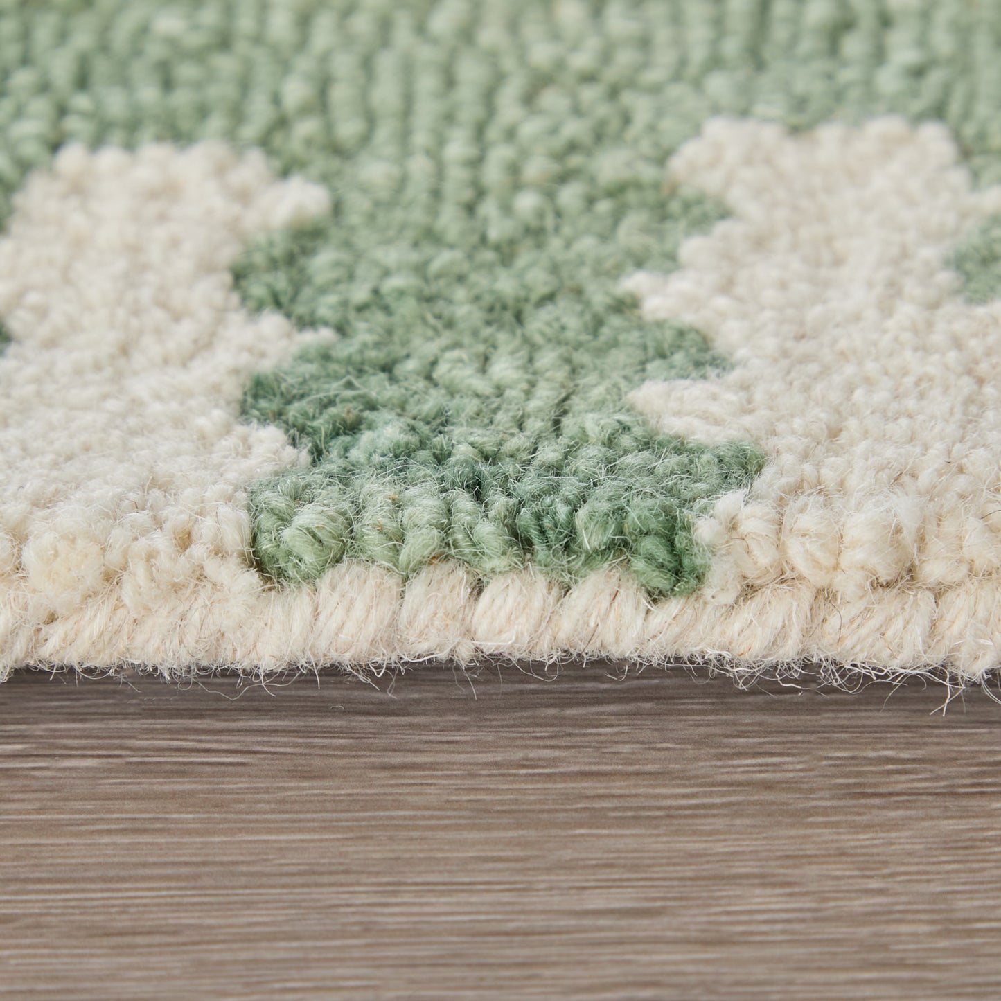 Lorrain Modern/Bohemian & Eclectic/Casual Ivory/Green Accent Rug