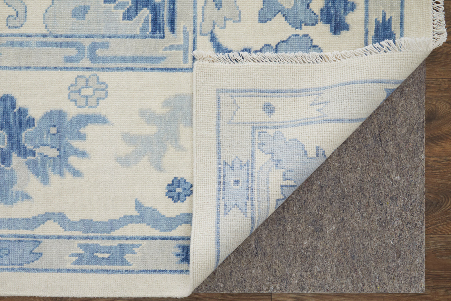 Karina Transitional/Craftsman/Casual Floral & Botanical/Scroll/Bordered Ivory/Blue - Feizy Rug