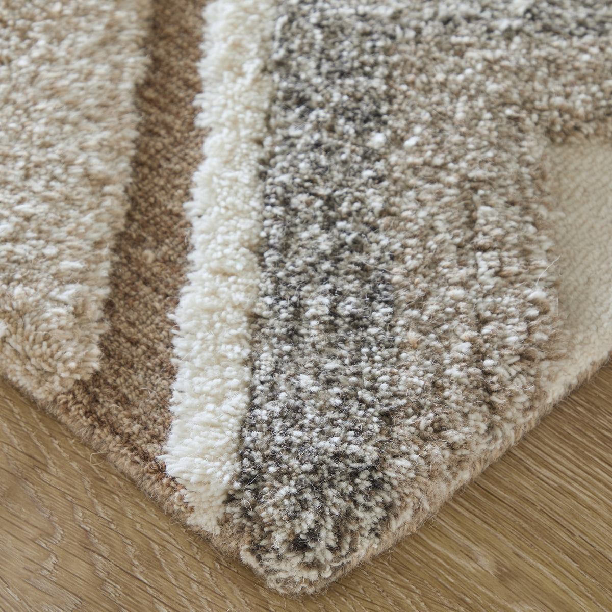 Anica Transitional/Bohemian & Eclectic/Global Geometric/Chevron/Abstract Brown/Gray/Ivory - Feizy Rug