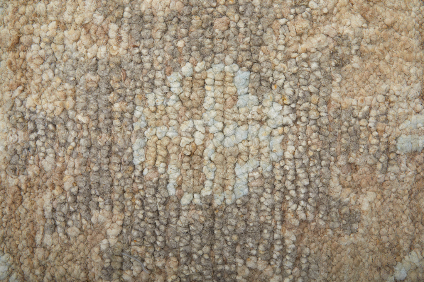 Grafton Transitional/Craftsman/Bohemian & Eclectic Floral & Botanical Tan/Gray/Ivory - Feizy Rug