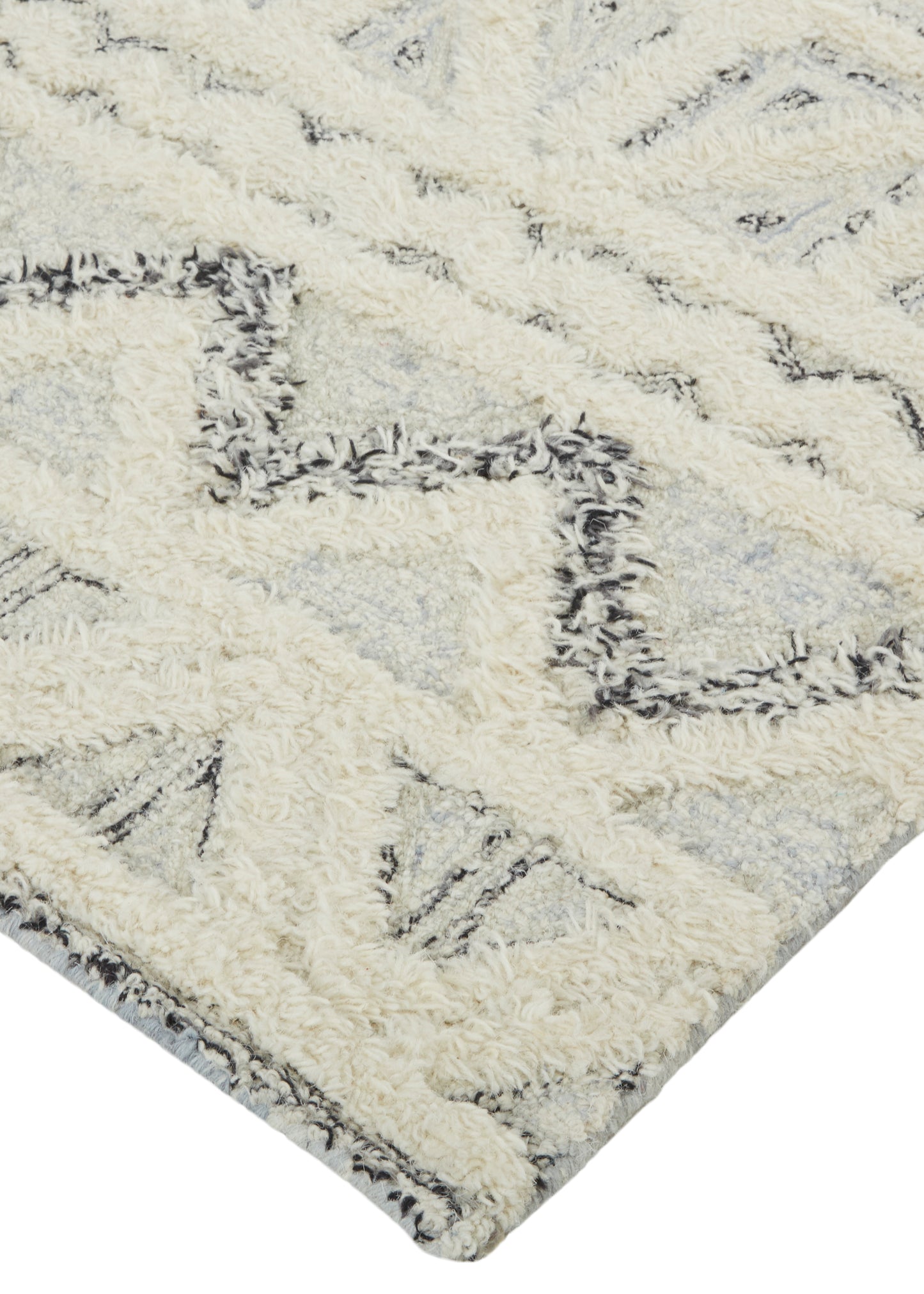 Anica Transitional/Moroccan/Global Ivory/Black Area Rug