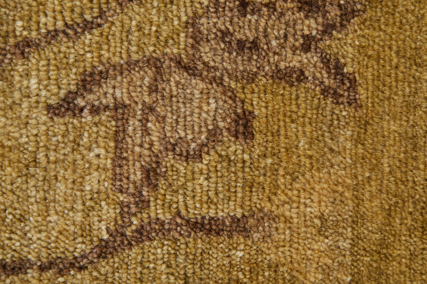 Cordonnet Transitional/Casual Floral & Botanical Green - Feizy Rug