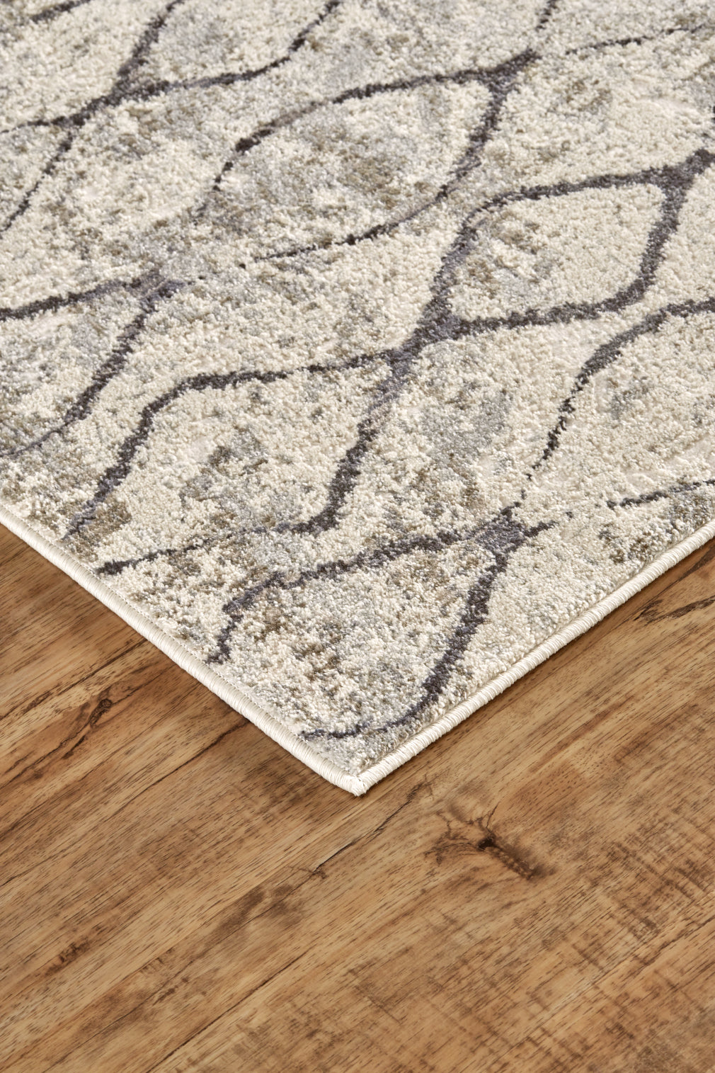 Kano Transitional/Global/Bohemian & Eclectic Diamond/Distressed Ivory/Gray/Taupe - Feizy Rug