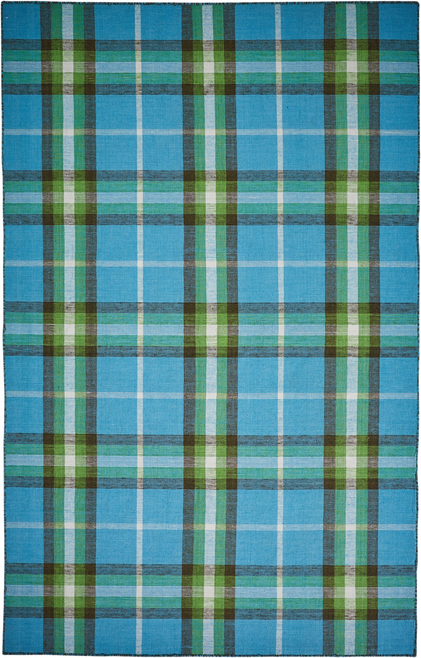 Crosby Transitional/Rustic Plaid Blue/Green/Black - Feizy Rug
