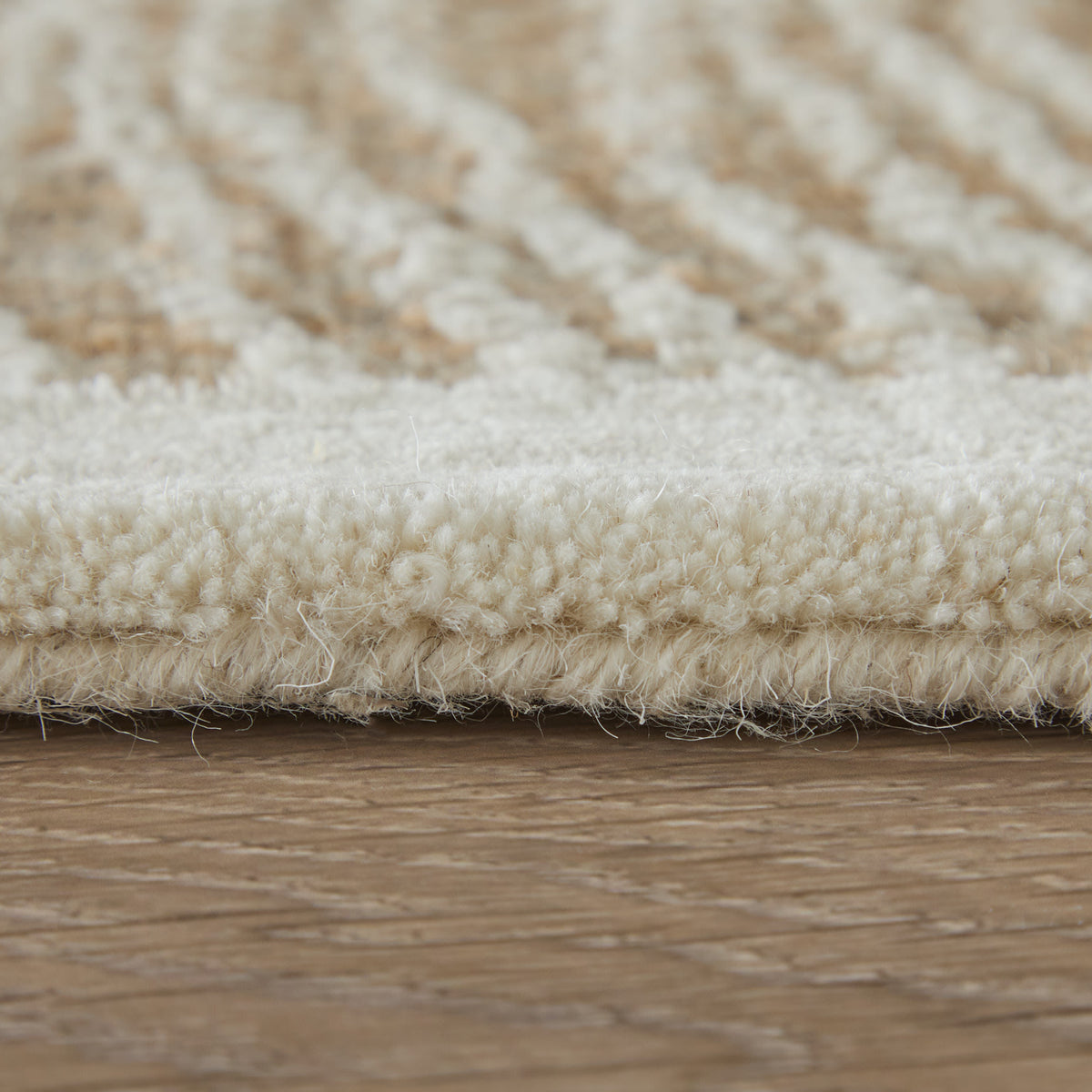Winston Modern/Nautical & Coastal Floral & Botanical/Bordered/Abstract Tan/Ivory - Feizy Rug