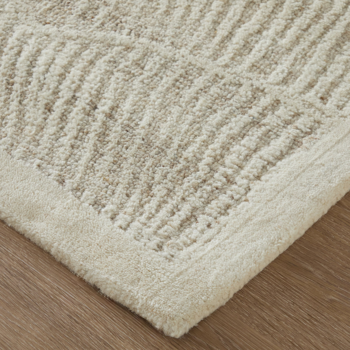 Winston Modern/Nautical & Coastal Floral & Botanical/Bordered/Abstract Ivory - Feizy Rug