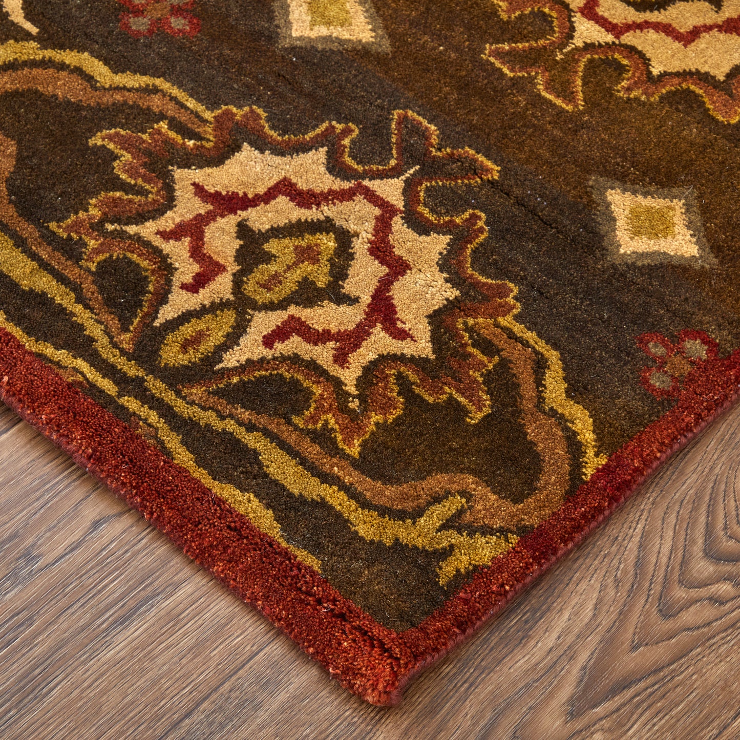 Amzad Transitional/Craftsman/Bohemian & Eclectic Ikat/Damask Brown/Red/Tan - Feizy Rug