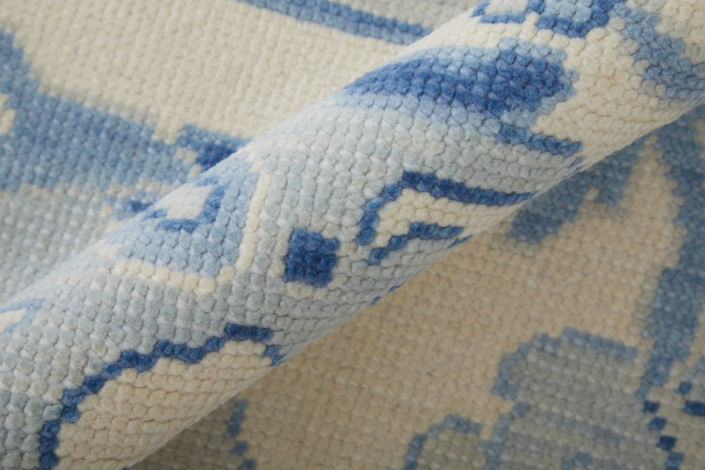 Karina Transitional/Craftsman/Casual Floral & Botanical/Scroll/Bordered Ivory/Blue - Feizy Rug