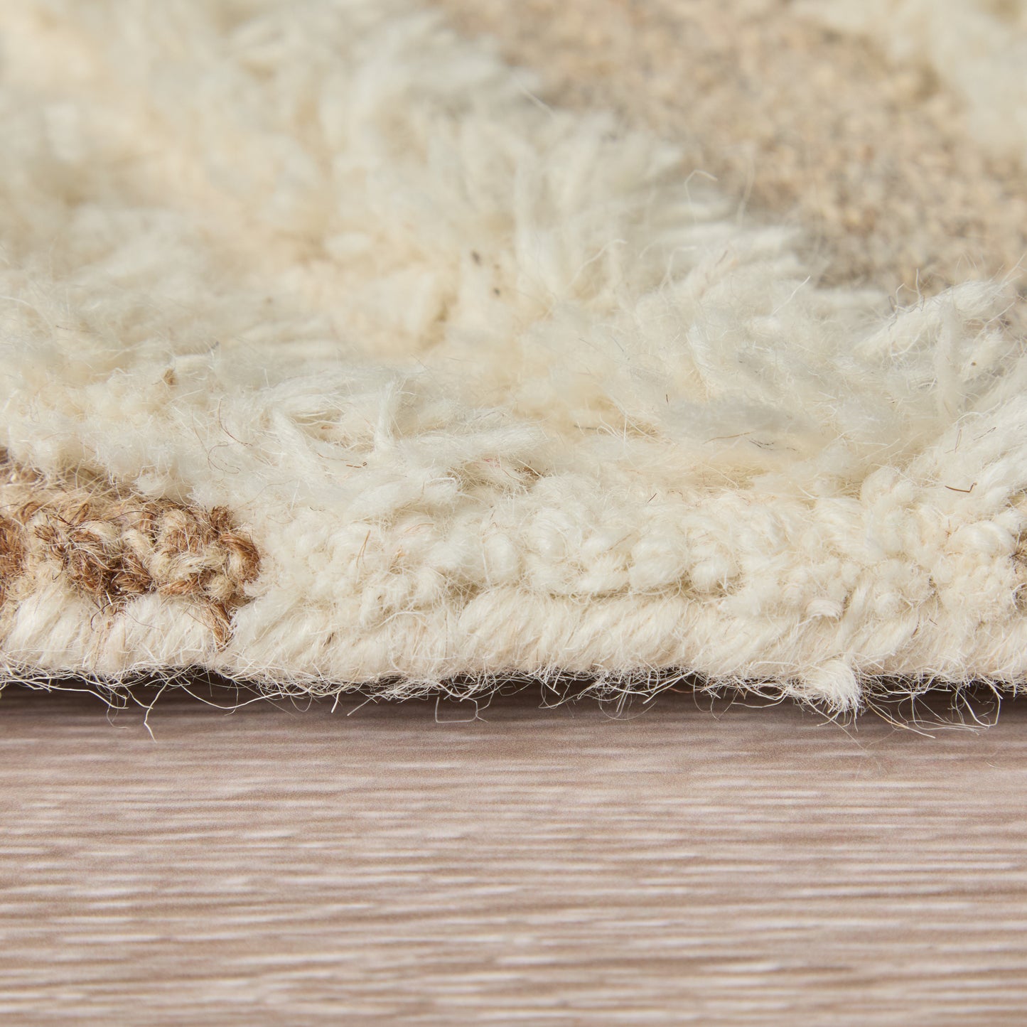 Anica Transitional/Moroccan/Casual Ivory/Taupe/Brown Area Rug