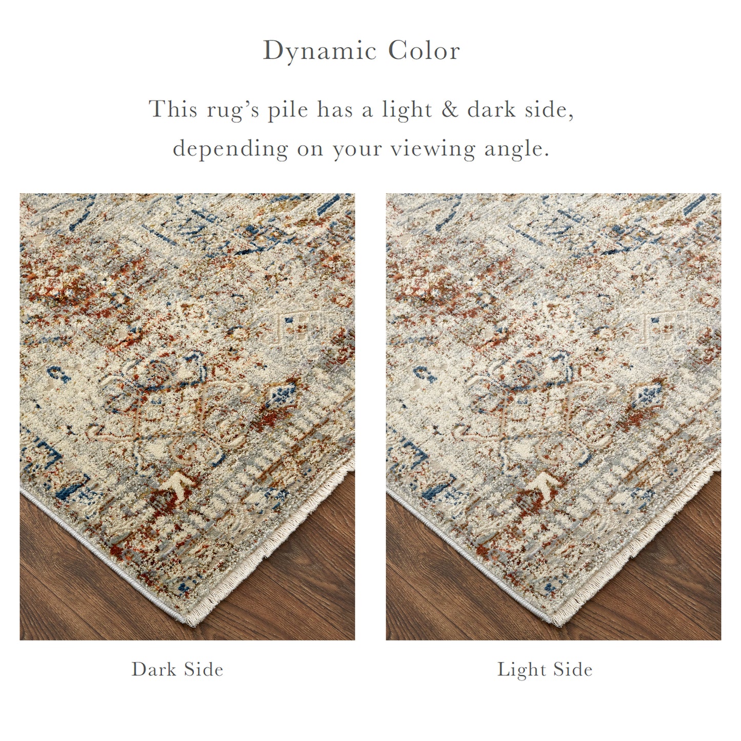 Kaia Transitional/Vintage/Classic Tan/Orange/Red Accent Rug