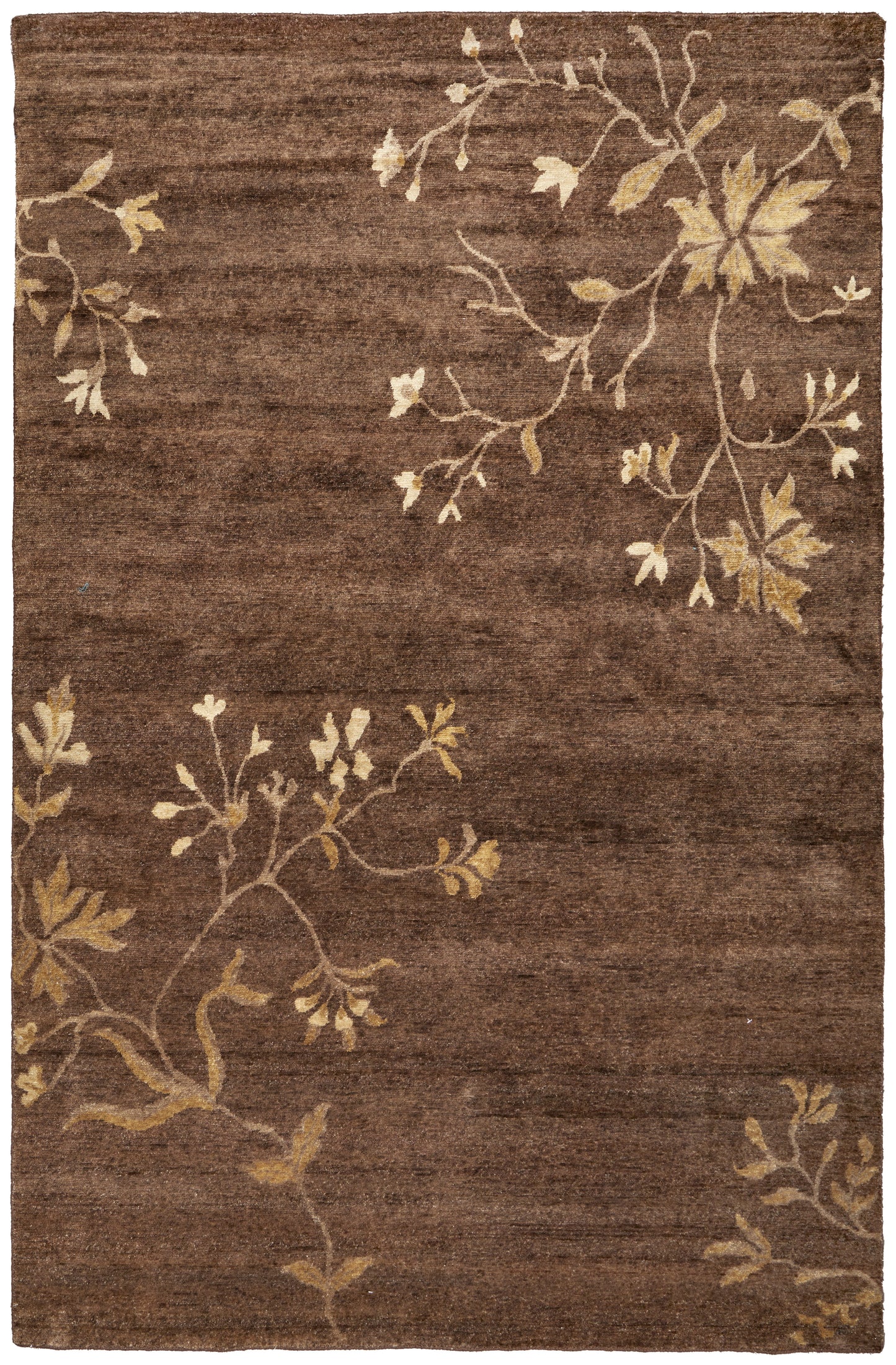 Cordonnet Transitional/Casual Floral & Botanical Green/Gold - Feizy Rug