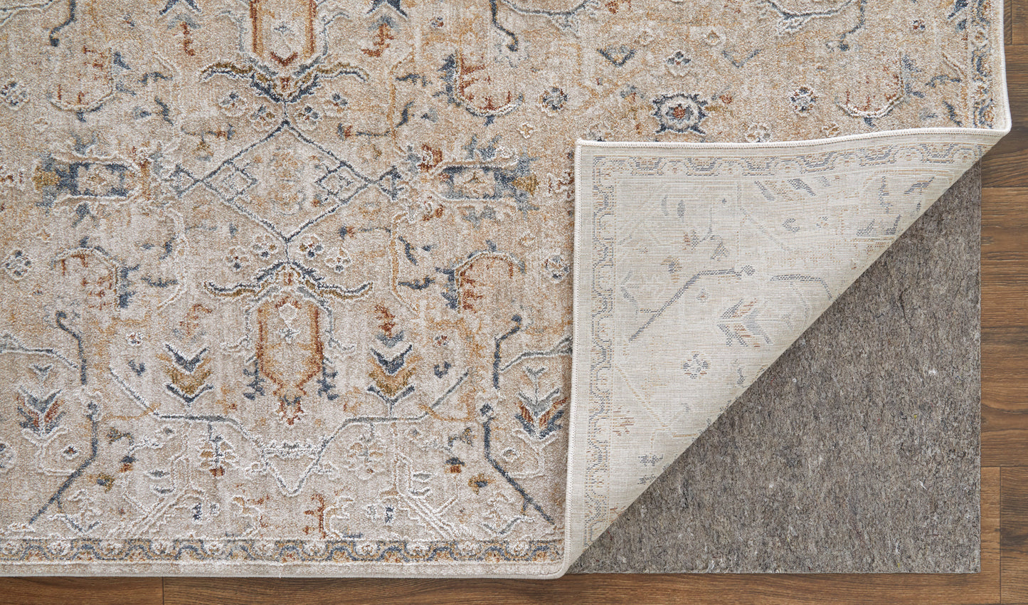 Pasha Transitional/Bohemian & Eclectic/Global Taupe/Ivory/Blue Area Rug