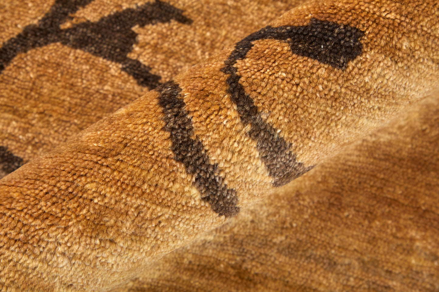 Cordonnet Transitional/Casual Floral & Botanical Brown/Orange - Feizy Rug
