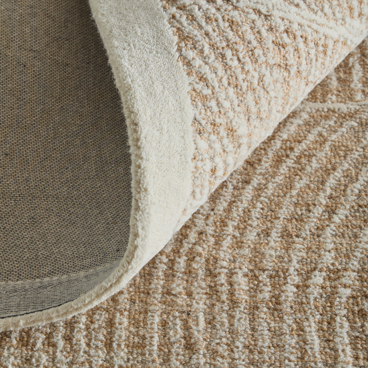 Winston Modern/Nautical & Coastal Floral & Botanical/Bordered/Abstract Tan/Ivory - Feizy Rug