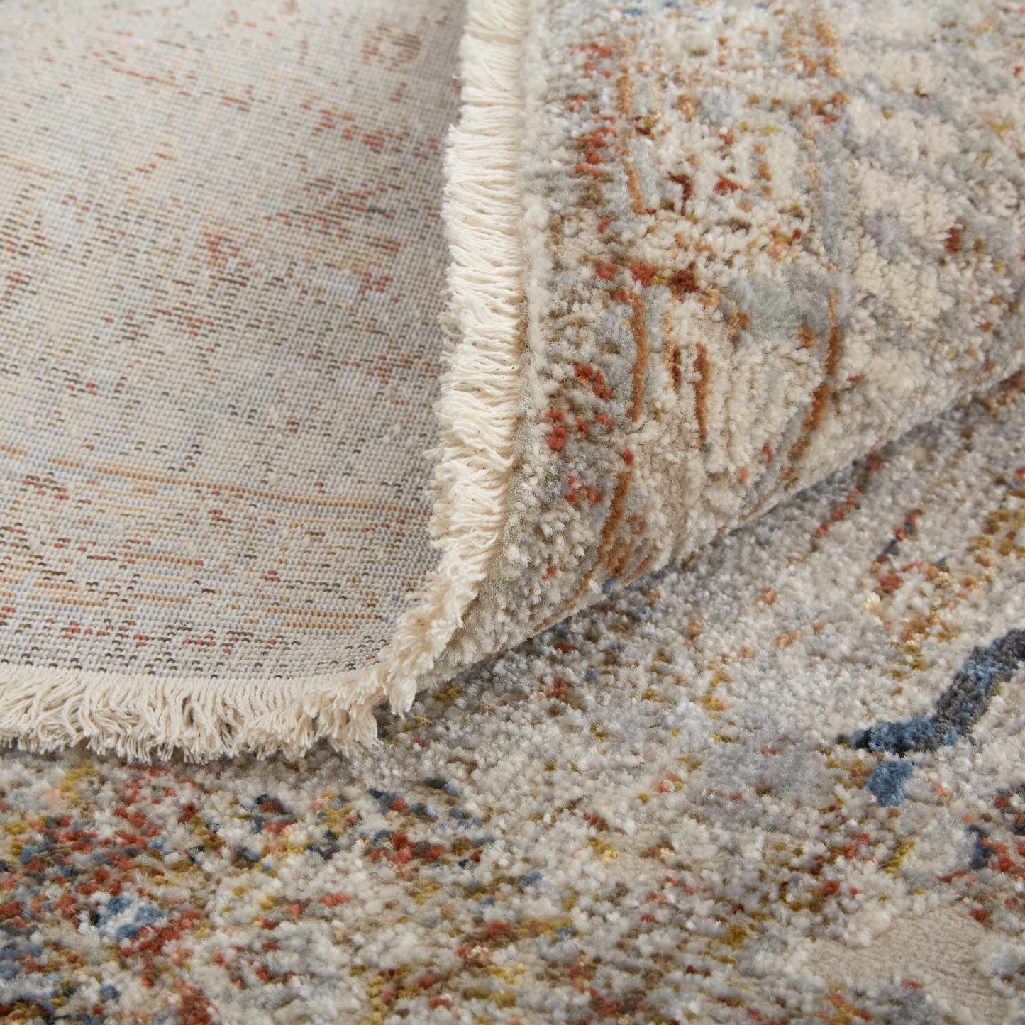 Kaia Transitional/Vintage/Classic Tan/Orange/Red Area Rug