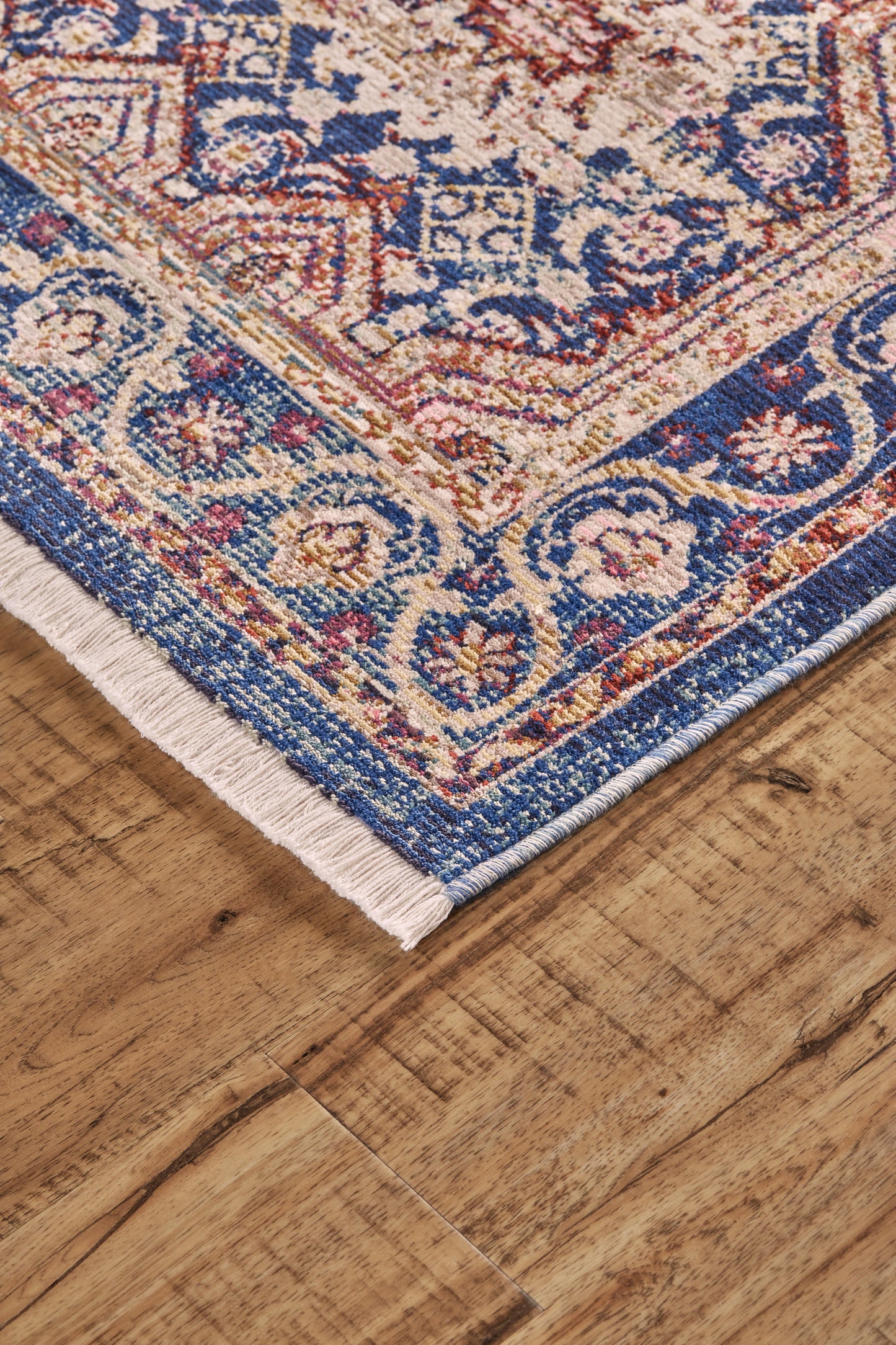 Torina Traditional/Classic/Casual Oriental/Bordered Blue/Red/Gold - Feizy Rug