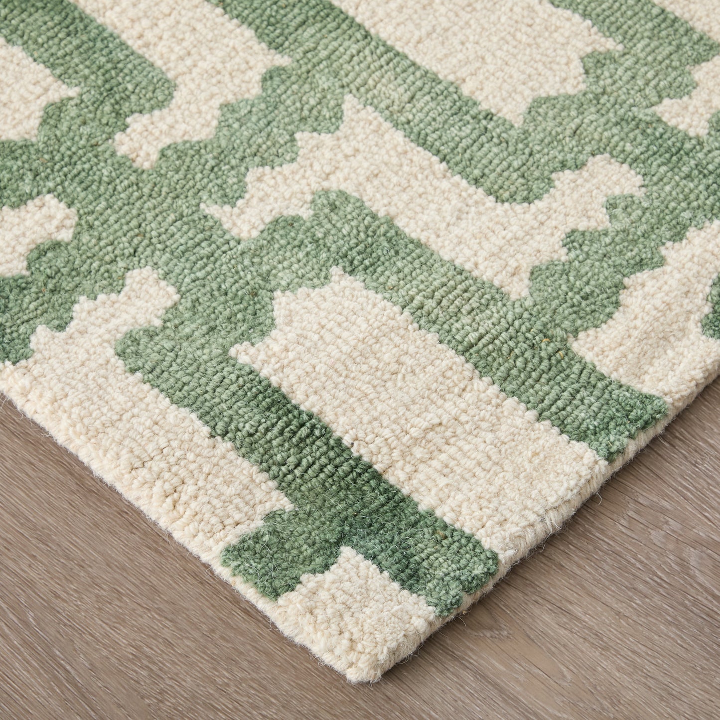 Lorrain Modern/Bohemian & Eclectic/Casual Ivory/Green Accent Rug